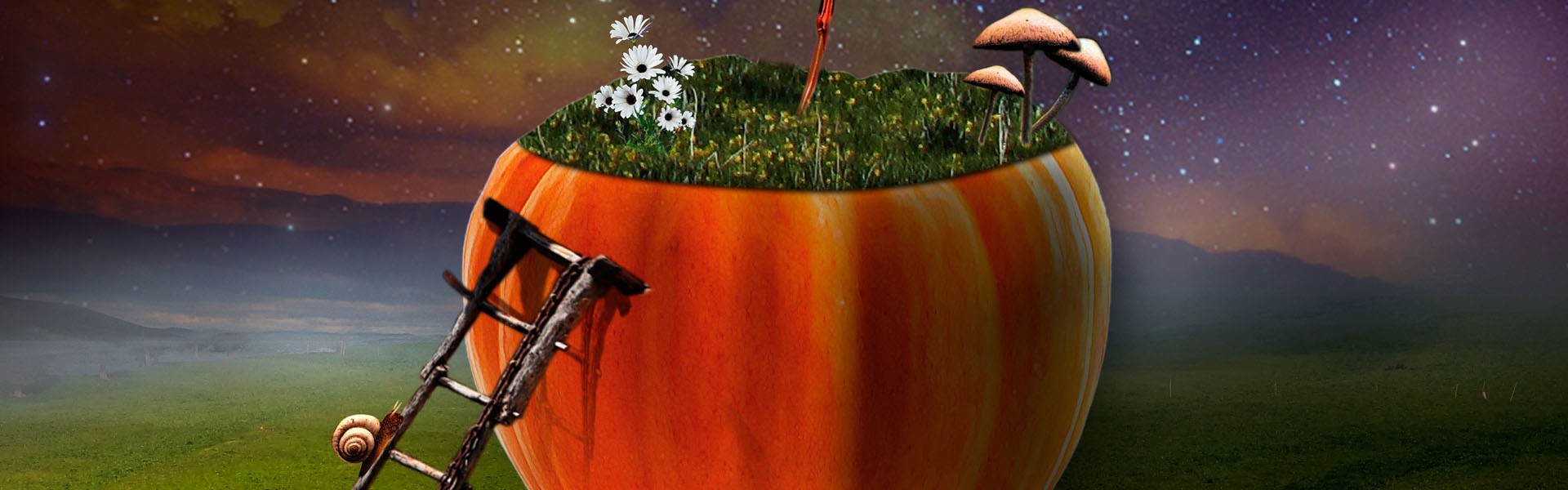 广告知识：广告之精髓在于如何触发情感