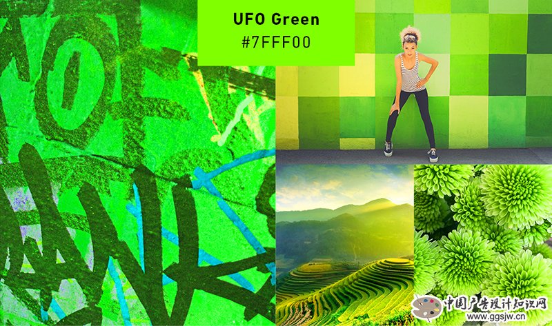 green-collage.jpg green-collage.jpg
