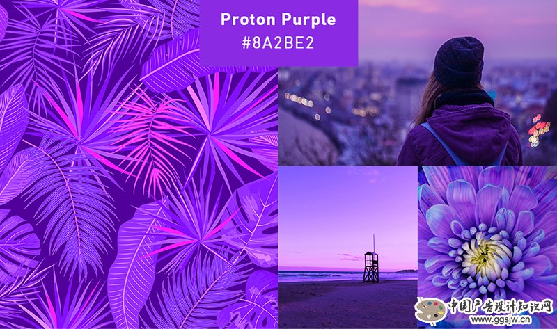 Shutterstock2019年色彩趋势:探索世界上最流行的色彩2.jpg Shutterstock2019年色彩趋势:探索世界上最流行的色彩2.jpg